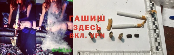 гашик Майский