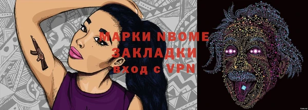 гашик Майский