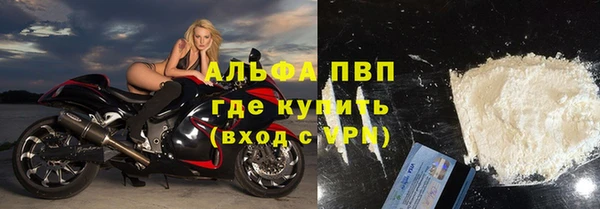 гашик Майский
