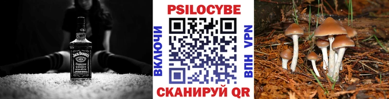 Псилоцибиновые грибы мицелий  Юхнов 
